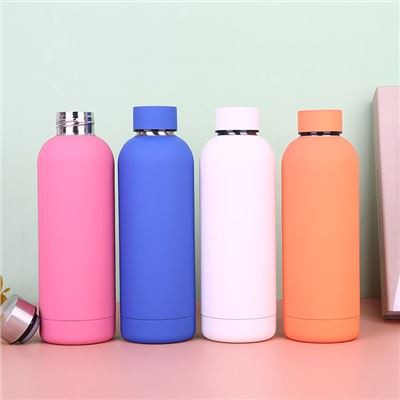 Double Wall Insulated Sports Bottle