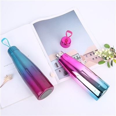 Stainless Steel Sports Bottle